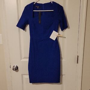 Royal Blue Sheath Dress